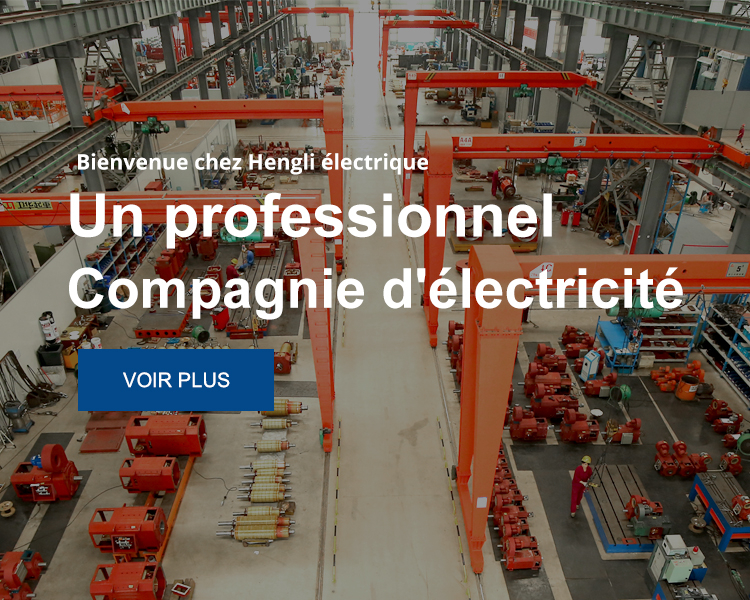  Profil de la société 