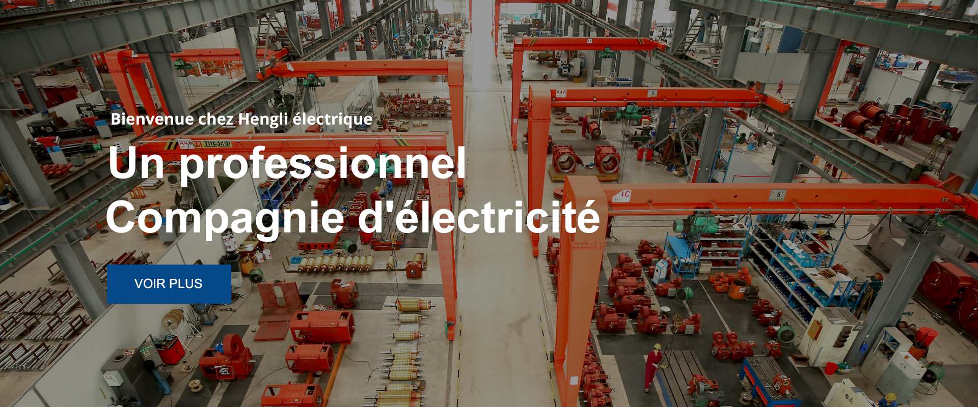  Profil de la société 